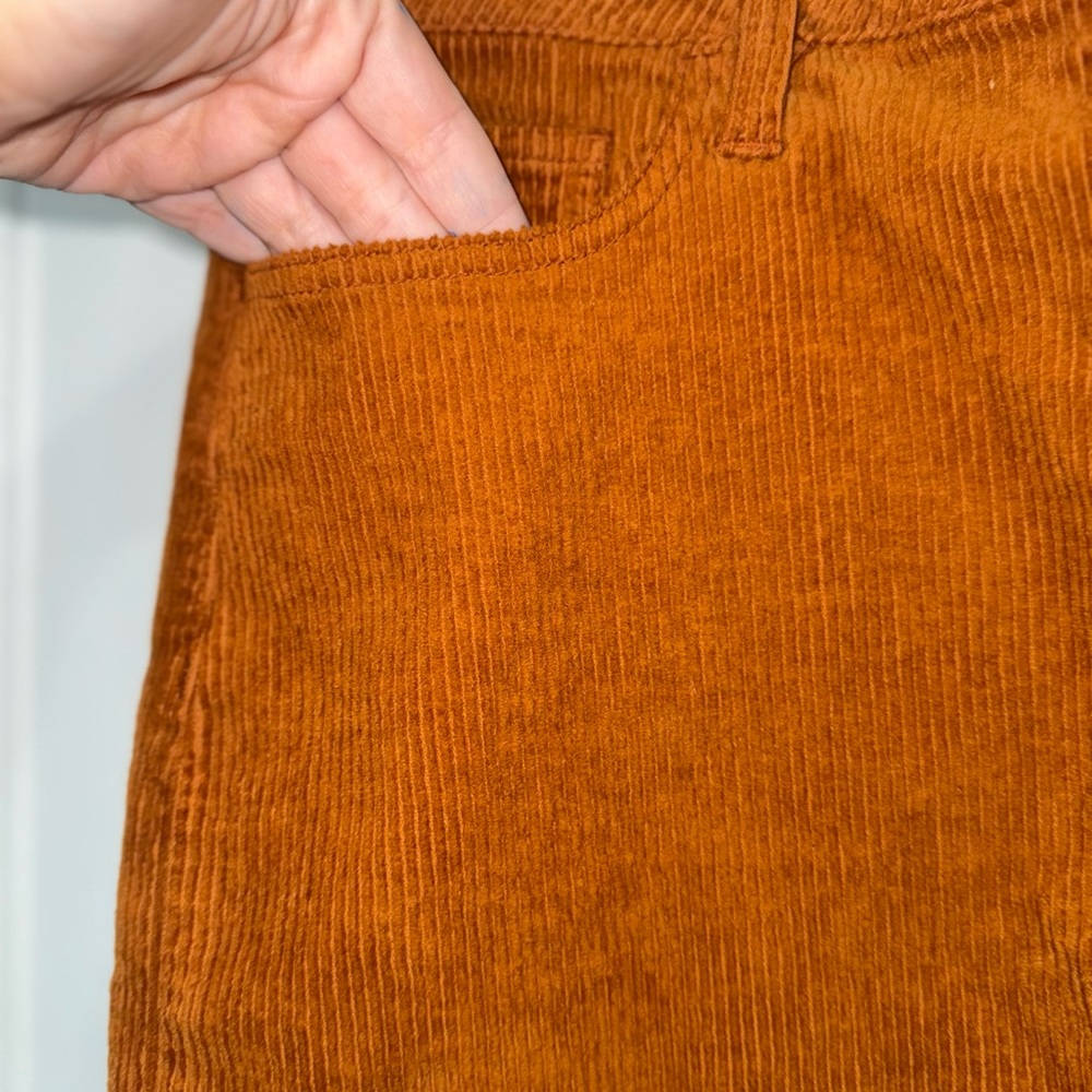 Brown Corduroy Mini Skirt by Cello - Picture 5 of 7